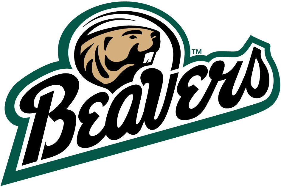 Bemidji State Beavers 2004-Pres Alternate Logo v2 iron on transfers for fabric